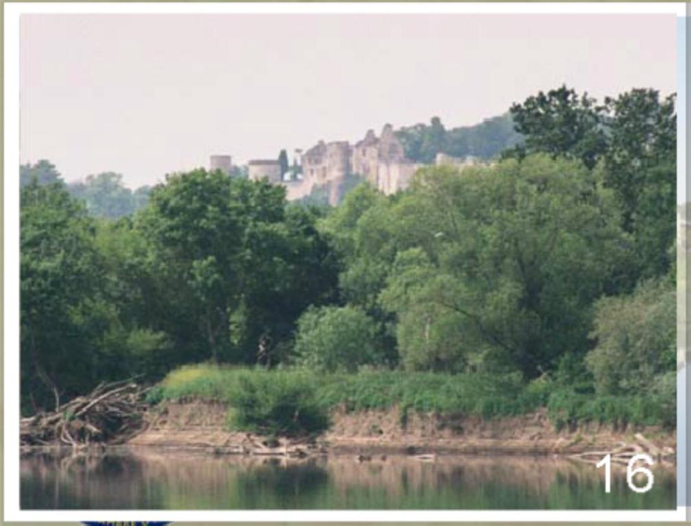 Domaine Du Heron Chinon Ngoại thất bức ảnh