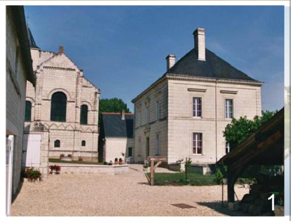 Domaine Du Heron Chinon Ngoại thất bức ảnh